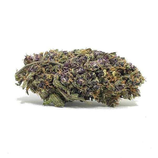 Critical Purple Put together by Advanced Seeds, Critical Purple Kush crosses Critical with Purple OG. Critical Purple Kush is a must-try for any terp