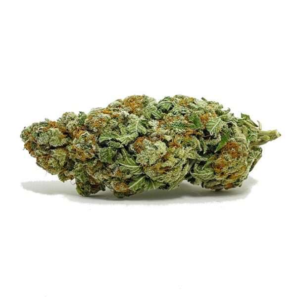 Gelato, also known as "Larry Bird" and "Gelato #42" is an evenly-balanced hybrid marijuana strain made from a crossing of Sunset Sherbet and Thin Mint Girl ...
