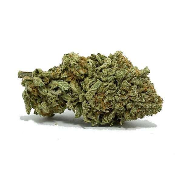 Rockstar is an indica marijuana strain made by crossing Rockbud and Sensi Star. This strain produces powerful mind and body effects that are euphoric