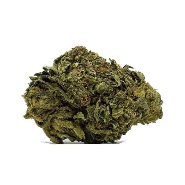 Gorilla Bomb is a potent sativa-dominant hybrid marijuana strain made by crossing GG4 (aka Gorilla Glue) with THC Bomb. This strain produces hard-hitting.