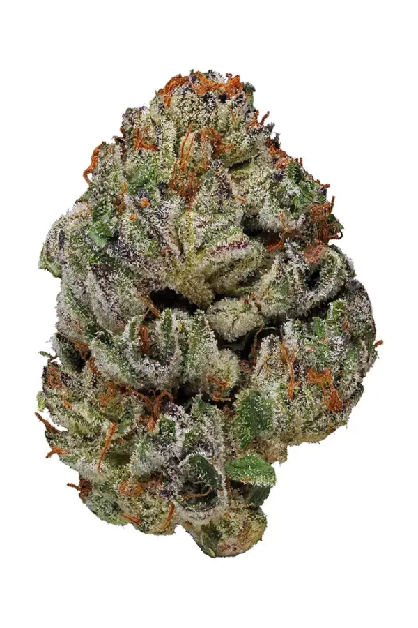 Birthday Cake Kush is an indica dominant hybrid strain that is created through a cross of the insanely delicious Girl Scout Cookies X Cherry Pie strains.
