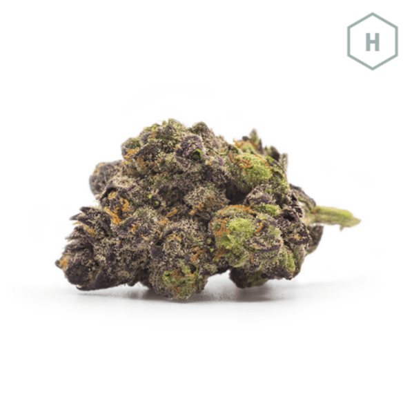 Snowcone strain is the quintessential Indica. Perfect for Indica lovers, this chunky flower is a hybrid between Grape Ape (GDP x Mendo Purps) x Supernatural
