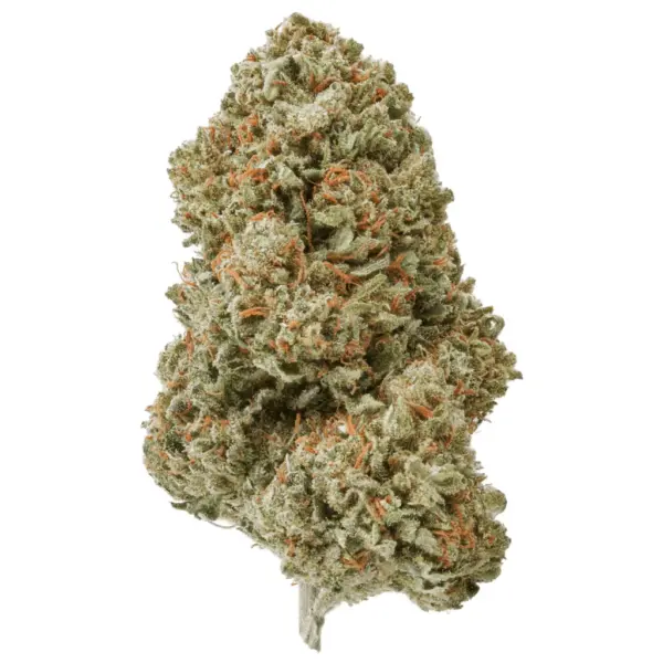Bred by Oregon CBD, Suver Haze crosses their high-performance Suver #8 and Early Resin Berry ... With a powerful aroma and flavor, Suver Haze offers notes..