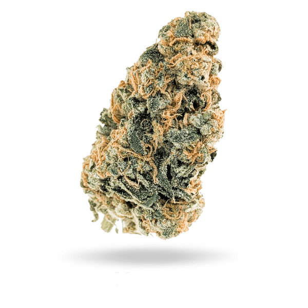 OG Deluxe is a hybrid weed strain made from a genetic cross between OGKB and Triangle Kush. This strain is a powerful and flavorful strain that will make ..