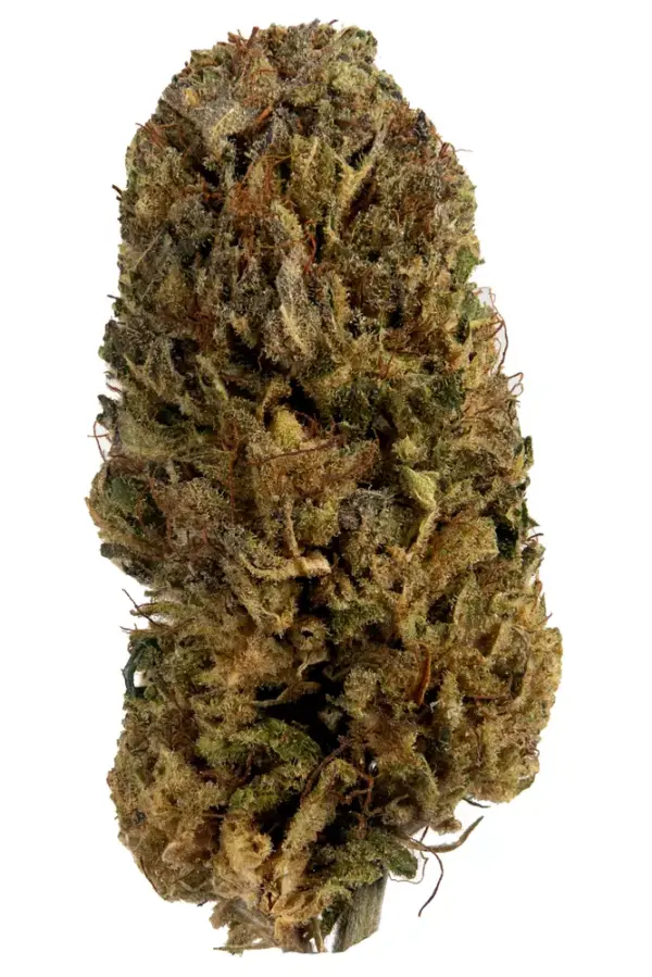 Skywalker OG is an Indica-dominant hybrid cannabis strain with a potent THC content ranging from 20% to 30%. It is a cross between Mazar and Blueberry OG ..