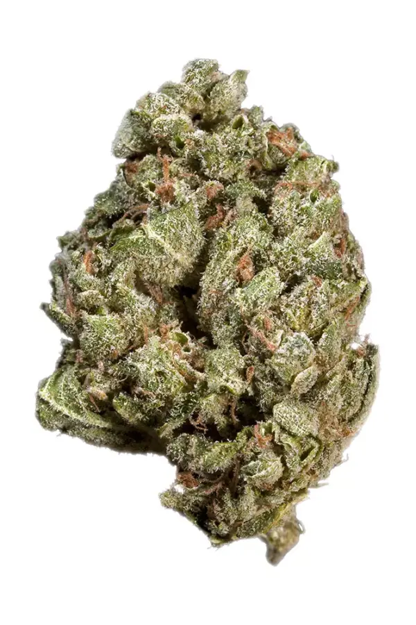 Sour Alien (also called Sour Alien OG) is an indica-dominant hybrid marijuana strain made by crossing Alien Kush and Sour Diesel. Sour Alien has a strong ..