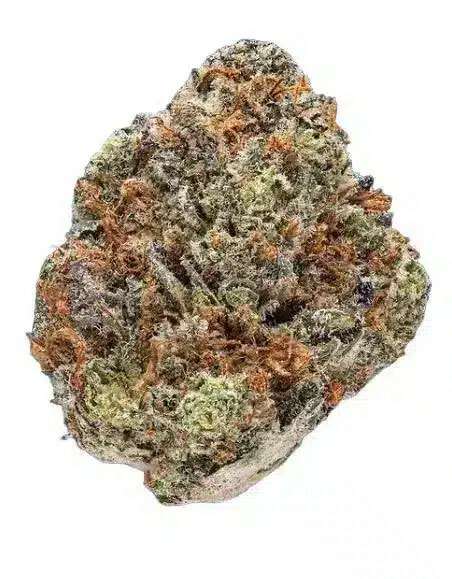 Tres Leches is a sativa-dominant hybrid marijuana strain made by crossing Koolato with Cookies and Cream. This strain produces uplifting and energetic ...