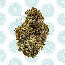 Lemon Grenades is a hybrid weed strain. Reviewers on Leafly say this strain makes them feel tingly, uplifted, and energetic. Lemon Grenades has 18% THC.