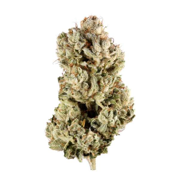 Gorilla Glue is a hybrid weed strain made from a genetic cross between Chem's Sister, Sour Dubb, and Chocolate Diesel. This strain is 37% sativa and 63% ...