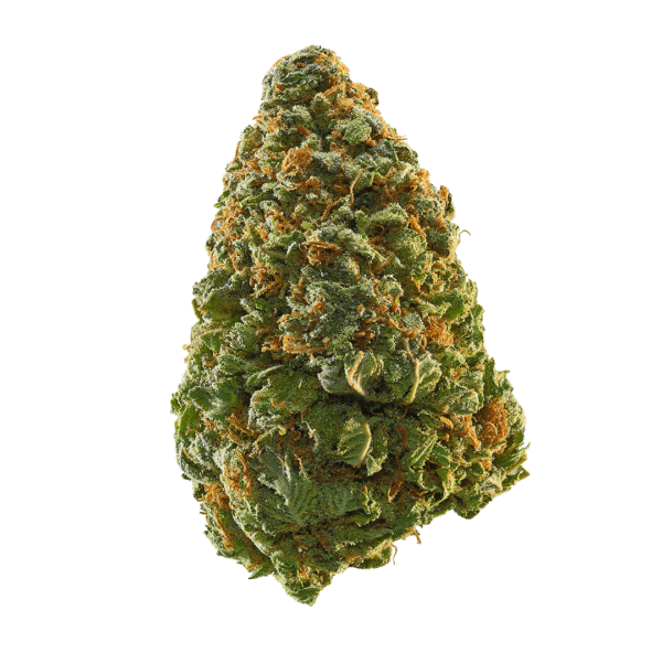 Green Crack, also known as "Green Crush" and "Mango Crack," is a potent sativa marijuana strain made by crossing Skunk #1 with an unknown indica.