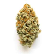 Chem de la Chem is a sativa marijuana strain made by crossing Chemdog and i95. The result is a complex blend of sweet, creamy and earthy flavors you can ...