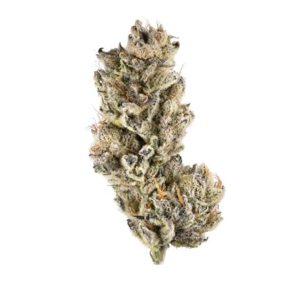 Purple Punch is the sweet and sedating union of two indica-dominant classics. By breeding Larry OG with Granddaddy Purple, the astonishing trichome laden .