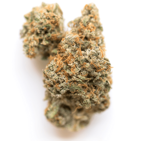 Georgia Pie is a potent hybrid marijuana strain bred by Seed Junkie Genetics. This strain is known for having a delicious aroma that smells and tastes just.