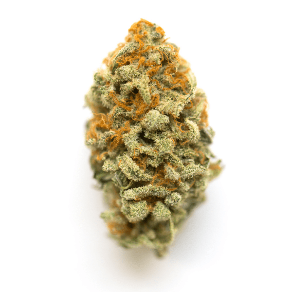 GMO strain, also known as as "GMO Garlic Cookie x Garlic Cookies," is a potent indica-dominant hybrid marijuana strain made by crossing Girl Scout..