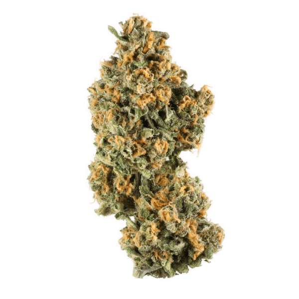 Produced by Humboldt Seed Organization, Sapphire OG is a cross of a prized Florida OG cut and a Florida OG x Afghan. Growers and consumers alike can expect .