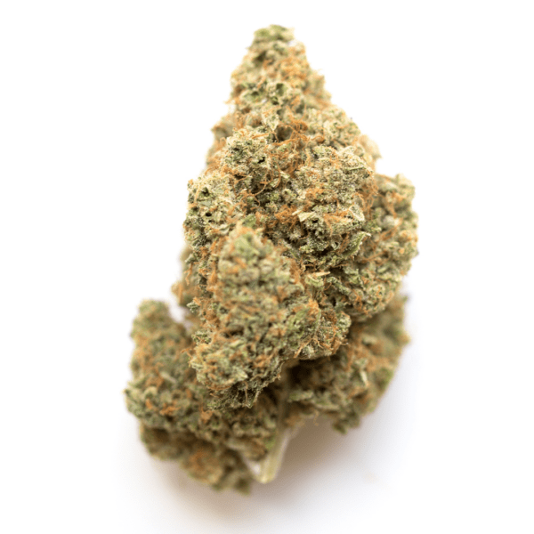 Lucinda Williams is an evenly-balanced hybrid marijuana strain with Cindy 99 as one confirmed parent, and strong consensus that Cindy 99 was crossed with ..