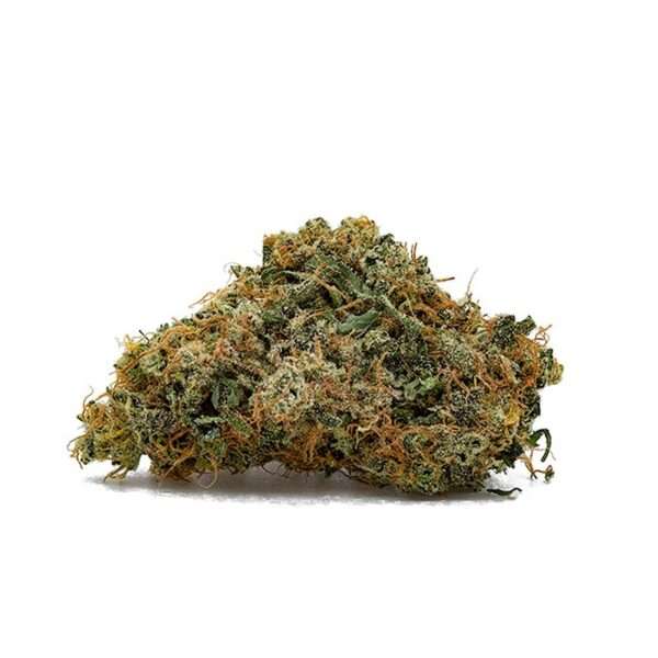 Gorilla Pie is a hybrid weed strain made from a genetic cross between Gorilla Glue #4 and Jelly Pie. Bred by ILLICIT, Gorilla Pie is 21% THC, ...
