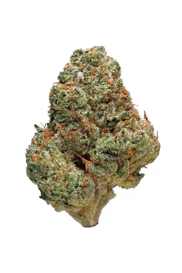 Guava strain is a sativa dominant hybrid strain (80% sativa/20% indica) created as a phenotype of the delicious Gelato strain. Named for its flavour...