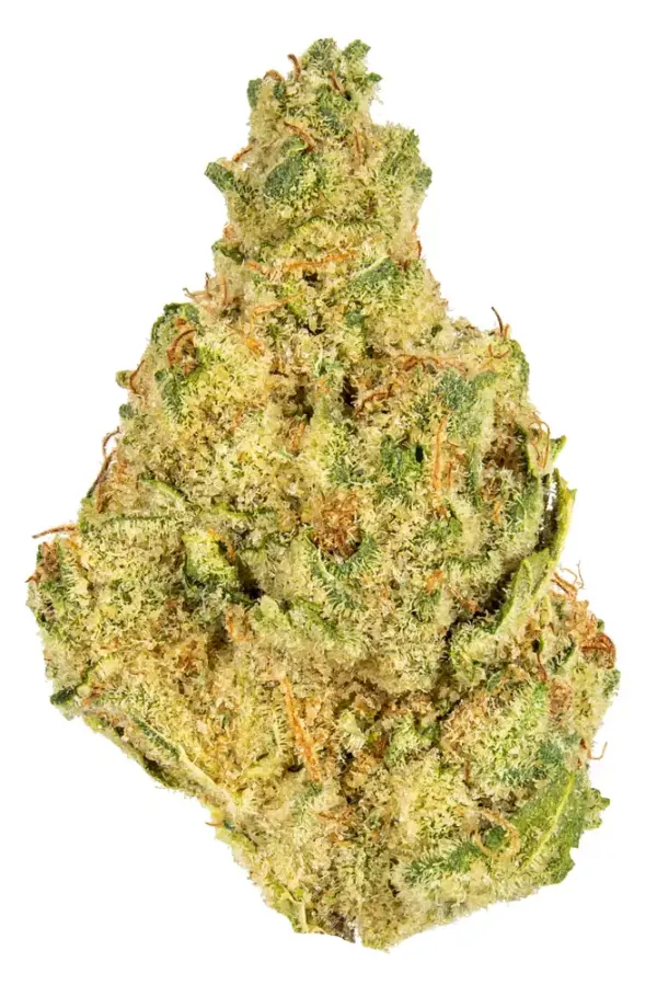 Larry Lovestein strain is a sativa-dominant hybrid weed strain made from a genetic cross between Larry OG and Chemdawg #4. Larry Lovestein is 30% THC, ...