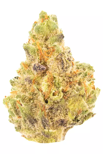 red dragon strain is a hybrid marijuana strain made by crossing South American with Afghani. Red Dragon produces happy and uplifting effects with a sweet...