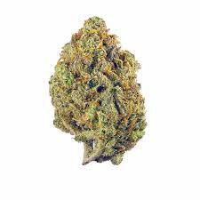 Jenny Kush strain is an evenly balanced hybrid (50% sativa/50% indica) strain created through a cross of the powerful Amnesia Haze X Rare...