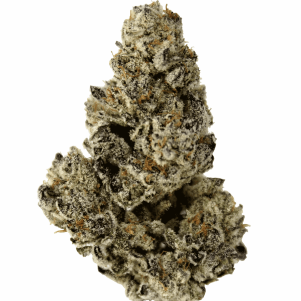 triple chocolate chip strain an indica dominant hybrid strain (70% indica/30% sativa) created through crossing the classic Mint Chocolate Chip X Triple OG