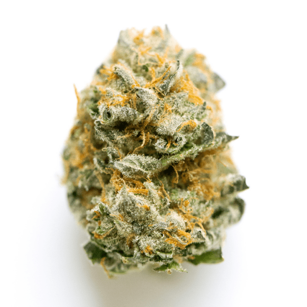 grease monkey strain is an indica dominant hybrid strain created through crossing the classic Gorilla Glue #4 with the delicious Cookies & Cream strain.