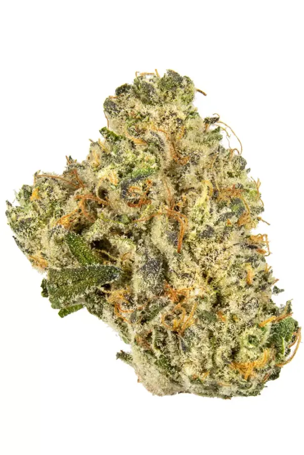 Bubble Bath strain is a slightly indica dominant hybrid strain (60% indica/40% sativa) created through crossing the classic The Soap X Project..
